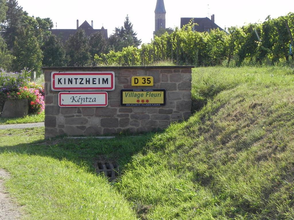 Le Nid De Cigognes Kintzheim Room photo